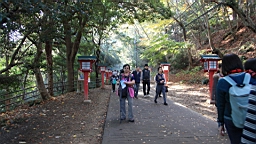 2015-11-241879.JPG