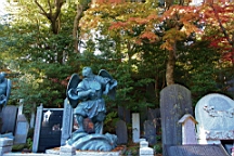 2015-11-241888.JPG