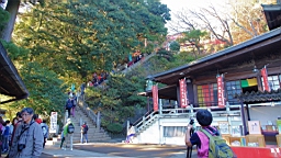 2015-11-241902.JPG