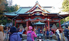 2015-11-241907.JPG