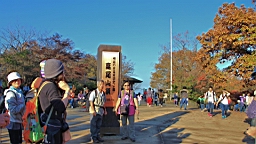 2015-11-241911.JPG