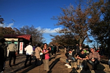 2015-11-241928.JPG