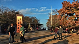 2015-11-241929.JPG