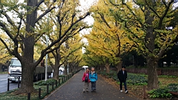 20151124_080254.jpg