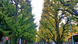 20151124_080920_1_bestshot.jpg
