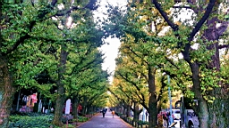 20151124_080959_3_bestshot.jpg
