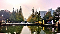20151124_081247_HDR.jpg