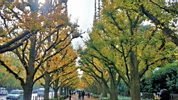 20151124_081546_HDR.jpg