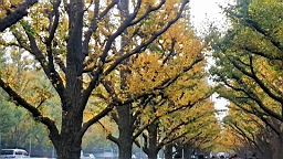 20151124_081643_HDR.jpg