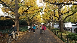 20151124_082549.jpg