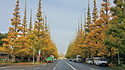 20151124_083442_001.jpg