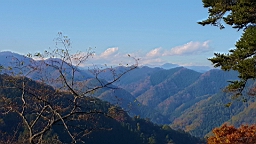 20151124_122441.jpg