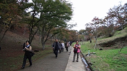 2015-11-251941.JPG