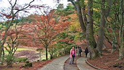 2015-11-251944.JPG