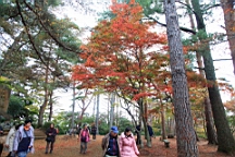 2015-11-251953.JPG