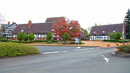 2015-11-251959.JPG