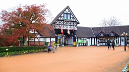 2015-11-251960.JPG