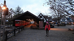 2015-11-251972.JPG