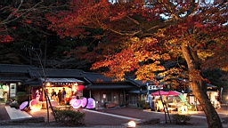 2015-11-251982.JPG