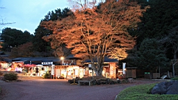 2015-11-251987.JPG