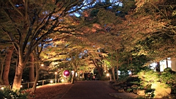 2015-11-251996.JPG