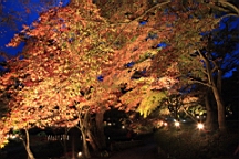 2015-11-252000.JPG