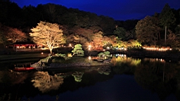 2015-11-252004.JPG