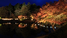 2015-11-252006.JPG