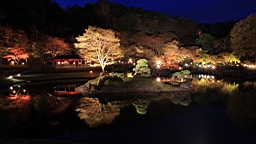 2015-11-252007.JPG