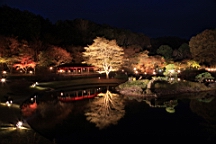 2015-11-252011.JPG