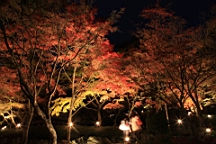 2015-11-252012.JPG