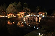 2015-11-252020.JPG