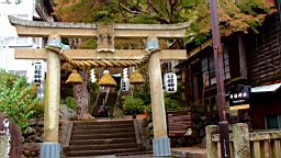 DSC00085.JPG