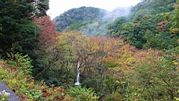 2015-11-262033.JPG