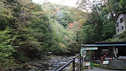 2015-11-262037.JPG