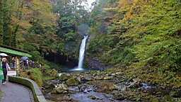 2015-11-262040.JPG