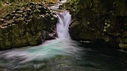 2015-11-262044.JPG