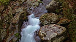 2015-11-262049.JPG