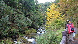 2015-11-262053.JPG