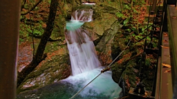 2015-11-262077.JPG