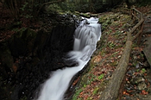 2015-11-262085.JPG