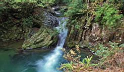 2015-11-262088.JPG