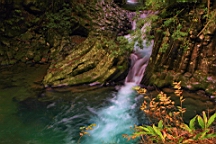 2015-11-262092.JPG
