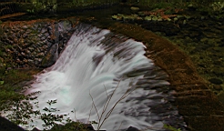 2015-11-262101.JPG