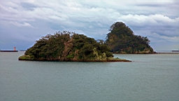 2015-11-262106.JPG