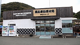 2015-11-262111.JPG