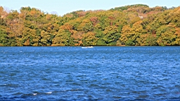 2015-11-272144.JPG