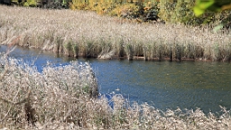 2015-11-272145.JPG