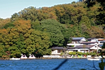 2015-11-272147.JPG
