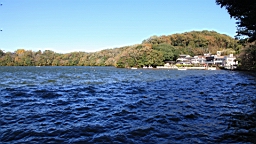 2015-11-272149.JPG